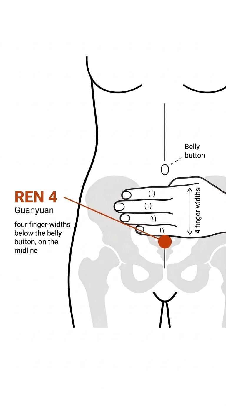 محل نقطه REN4 یا گوان‌یوان چهار انگشت پایین‌تر از ناف